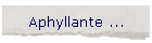 Aphyllante ...