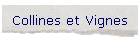 Collines et Vignes