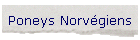 Poneys Norvgiens