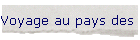 Voyage au pays des Vikings