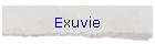 Exuvie